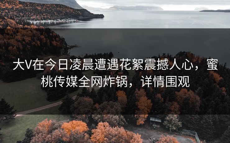 大V在今日凌晨遭遇花絮震撼人心，蜜桃传媒全网炸锅，详情围观
